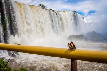  Iguaçu 