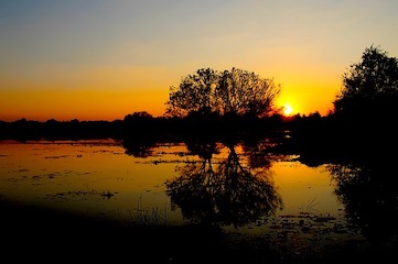 Colombo - Anuradhapura