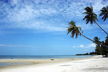 Koh Samui - Bangkok