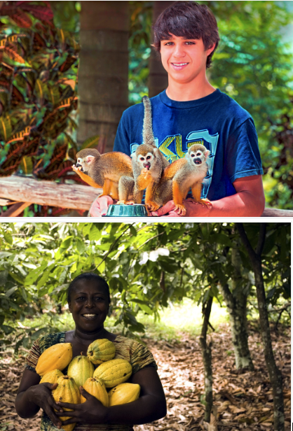Monkey Land Safari 