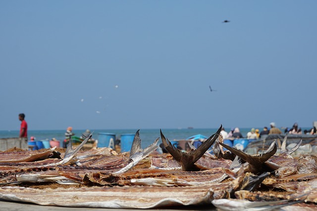 Colombo - Negombo