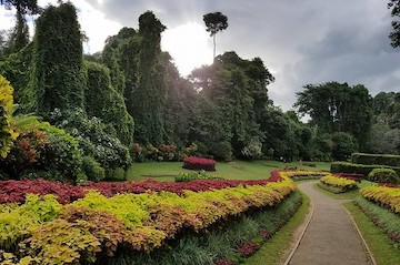  Kandy – Peradeniya – Nuwara Eliya