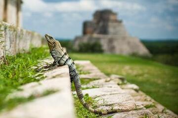 Campeche - Celestun - Merida