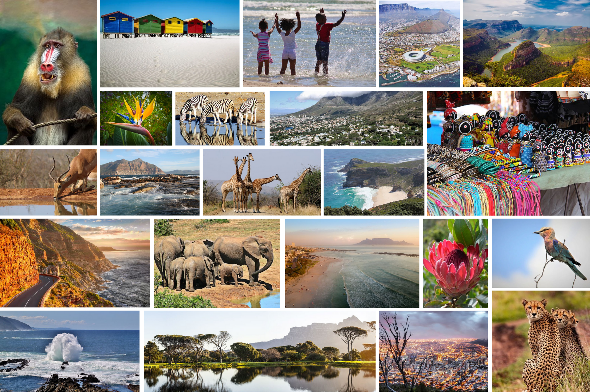 Voyage Afrique du Sud sur mesure