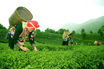 Dien Bien Phu – Lai Chau