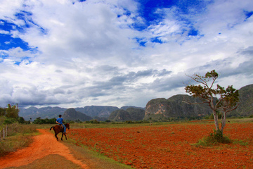 Vinales - Las Terrazas