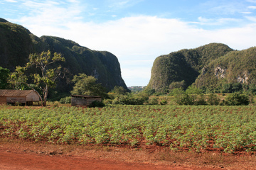 La Havane - Vinales