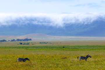 Serengeti - Karatu