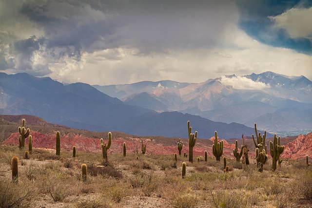 Salta - Quebrada de Humahuaca