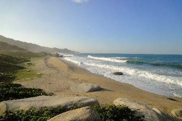 Tayrona - Camarones