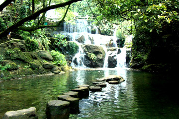 Nature luxuriante au Costa Rica