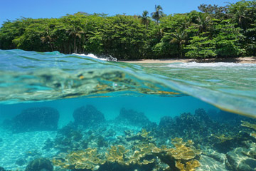 Plages au Costa Rica