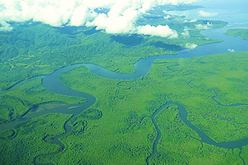 delta_fleuve_tarraba-1.jpg