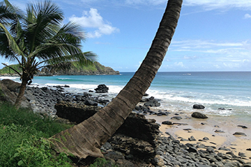 fernando-de-noronha5.jpg