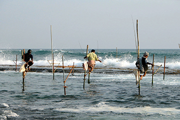 fishermen-sri-lanka.jpg