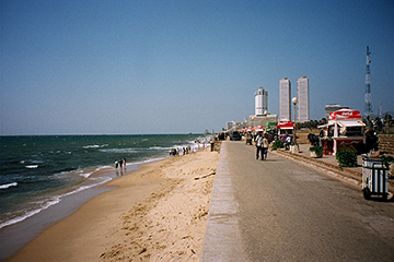 galle-avenue.jpg