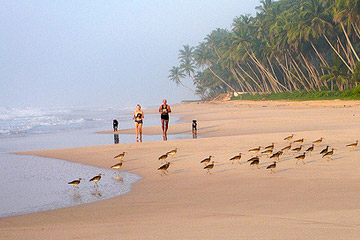 koggala-sri-lanka.jpg