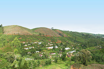 nuwara-eliya.jpg