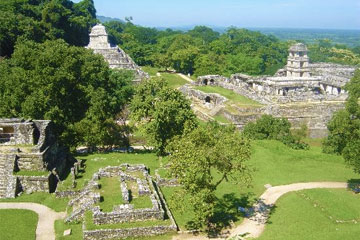 palenque-mexique-1.jpg