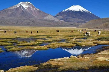 Montagnes boliviennes