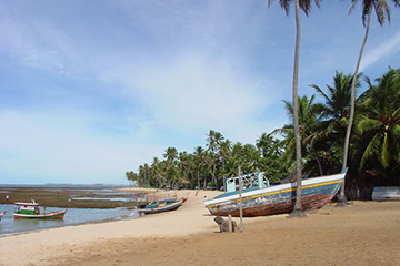 plage-praia-do-forte.jpg