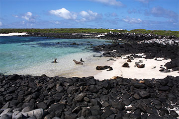 Île Española Équateur