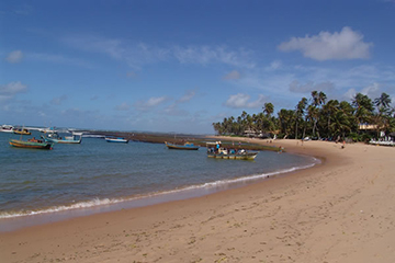 praia-do-forte-plage.jpg