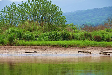 safari_crocodile_tarcoles3-3.jpg