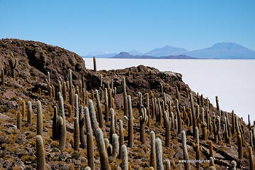 Paysage Salar d'Uyuni