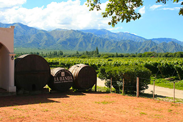 salta-vignoble.jpg