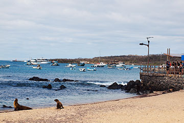 Île de San Cristobal Galapagos