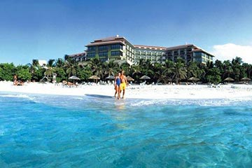 sol-palmeras-vue-1.jpg