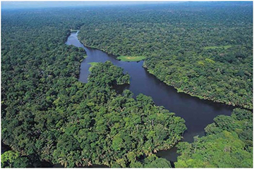 tortuguero-foret-tropicale.jpg