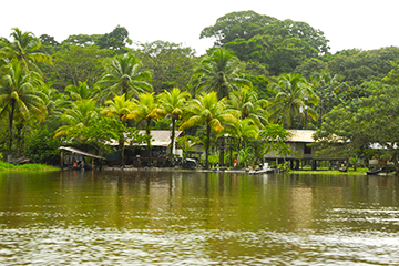 tortuguero_foret.jpg