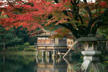 Jardins japonais