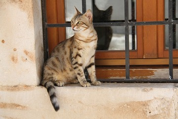 Héraklion - France