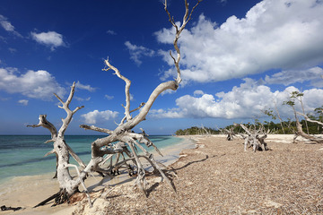 Cayo Levisa