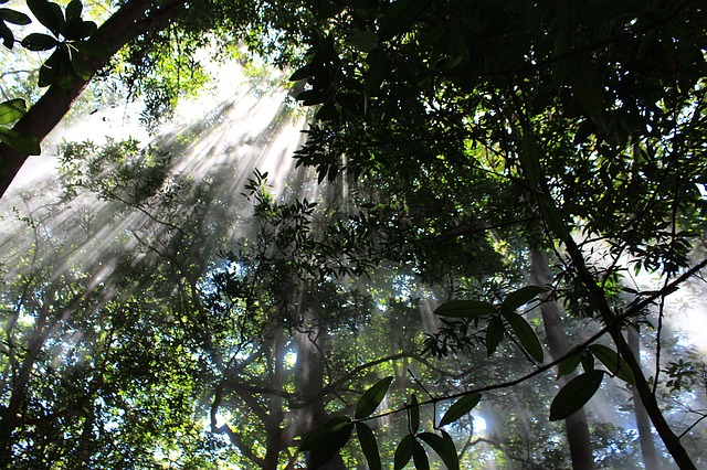 La Fortuna, Volcan Arenal - Monteverde