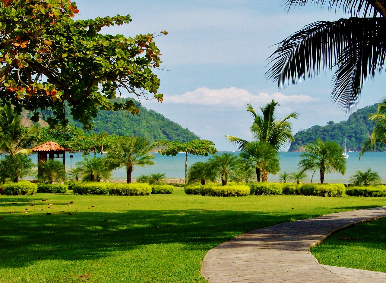 Tamarindo