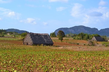 La Havane - Vinales