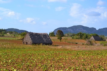 La Havane - Vinales