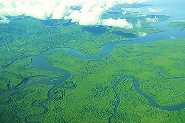 Dominical - Sierpe - Drake Bay - Péninsule de Osa, Parc National Corcovado