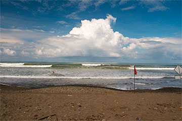 Monteverde - Uvita et le parc Marino Ballena 