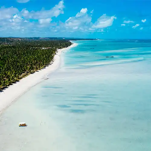 L'île de Saona en Catamaran et bateau hors-bord