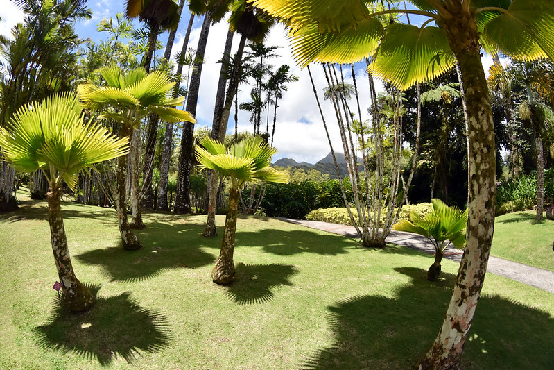 Séjour en liberté, en villa privé en Martinique