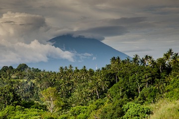 Safari au Costa Rica en petit groupe