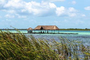 Bacalar