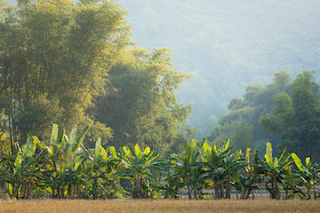 Ninh Binh – Mai Chau