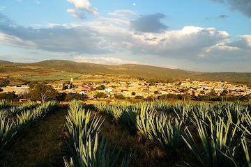 Route de la Tequila