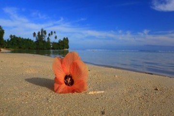 Tahiti - Moorea